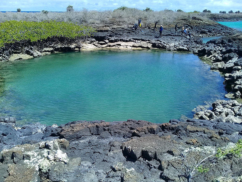 Galapaguera em Cerro Colorado no Peru